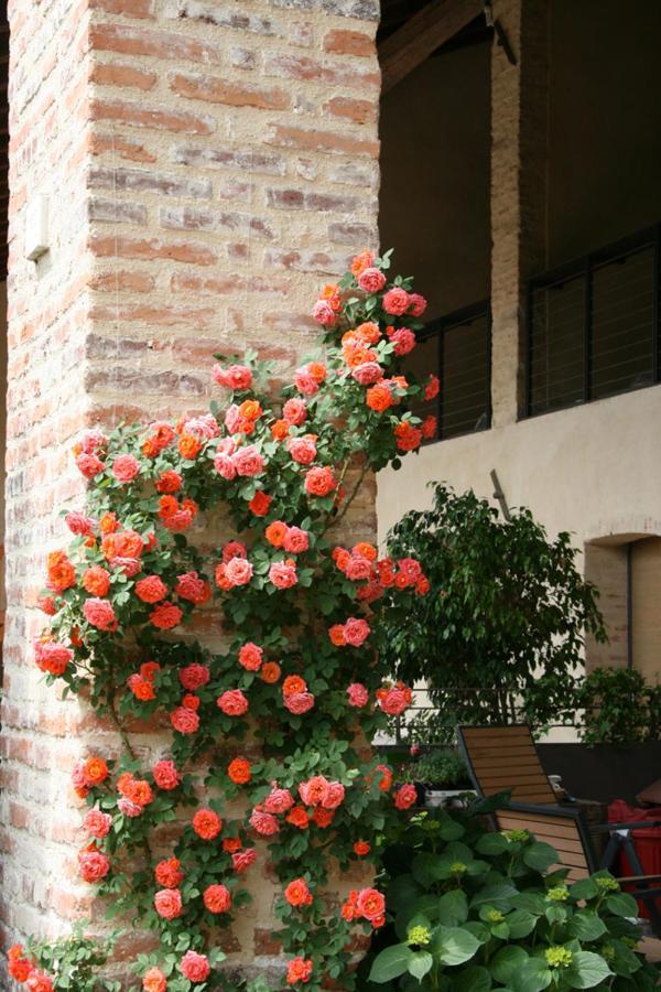 San Zenone Le Tre Arti B&B מראה חיצוני תמונה